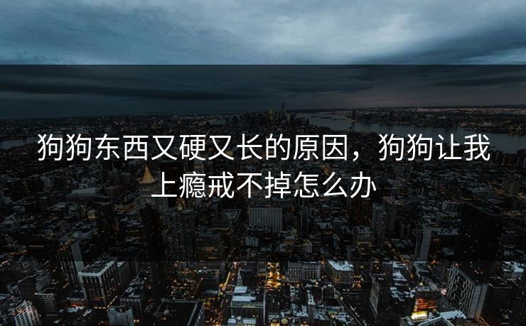 狗狗东西又硬又长的原因，狗狗让我上瘾戒不掉怎么办