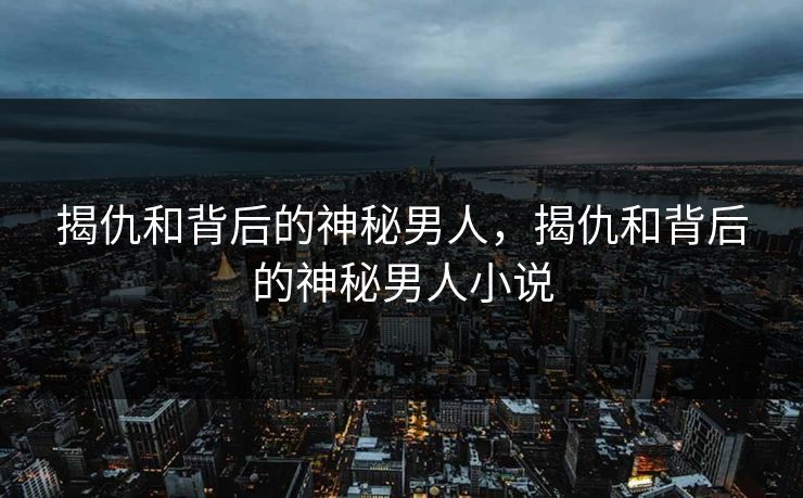 揭仇和背后的神秘男人，揭仇和背后的神秘男人小说
