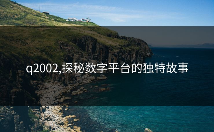 q2002,探秘数字平台的独特故事 q2002,探秘数字平台的独特故事